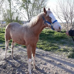 Meet your Posher, Joaquin